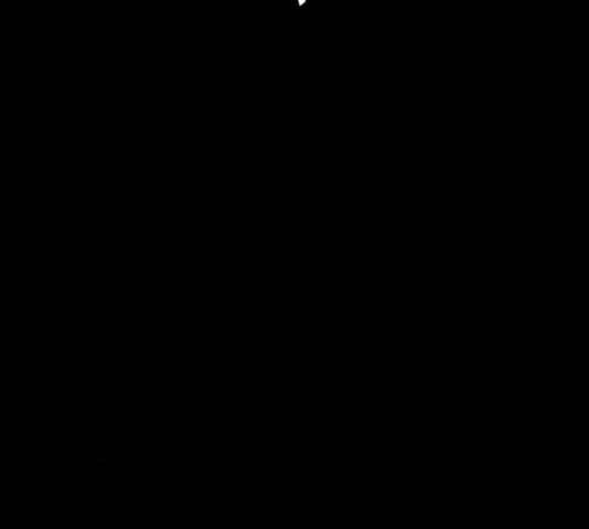 1633838984636j2p8yirqybo.jpeg