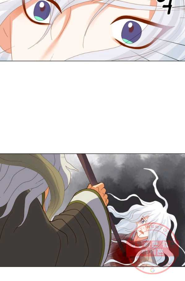 16390775743169qrd3r03ki.jpeg