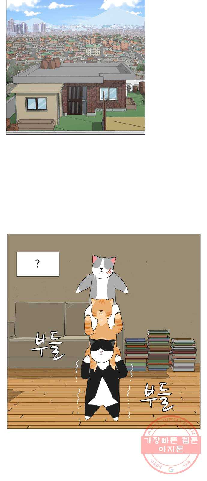 1625440625582.jpeg