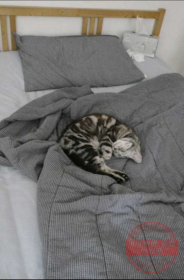 1630020889079.jpeg
