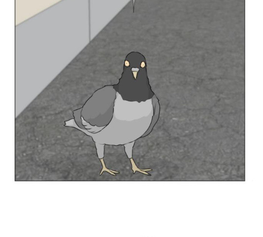 1643169066032ilsa0lz4sx.jpeg