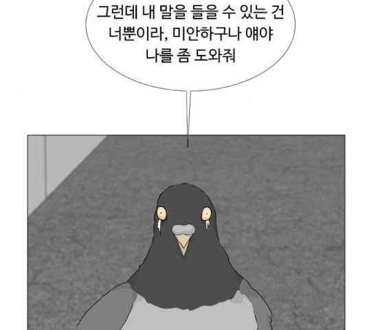 16431690667486xmm21htofc.jpeg