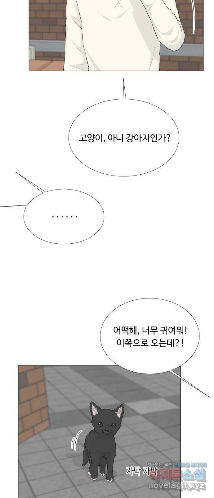 1666145139309bp8kl1pnk7.jpeg