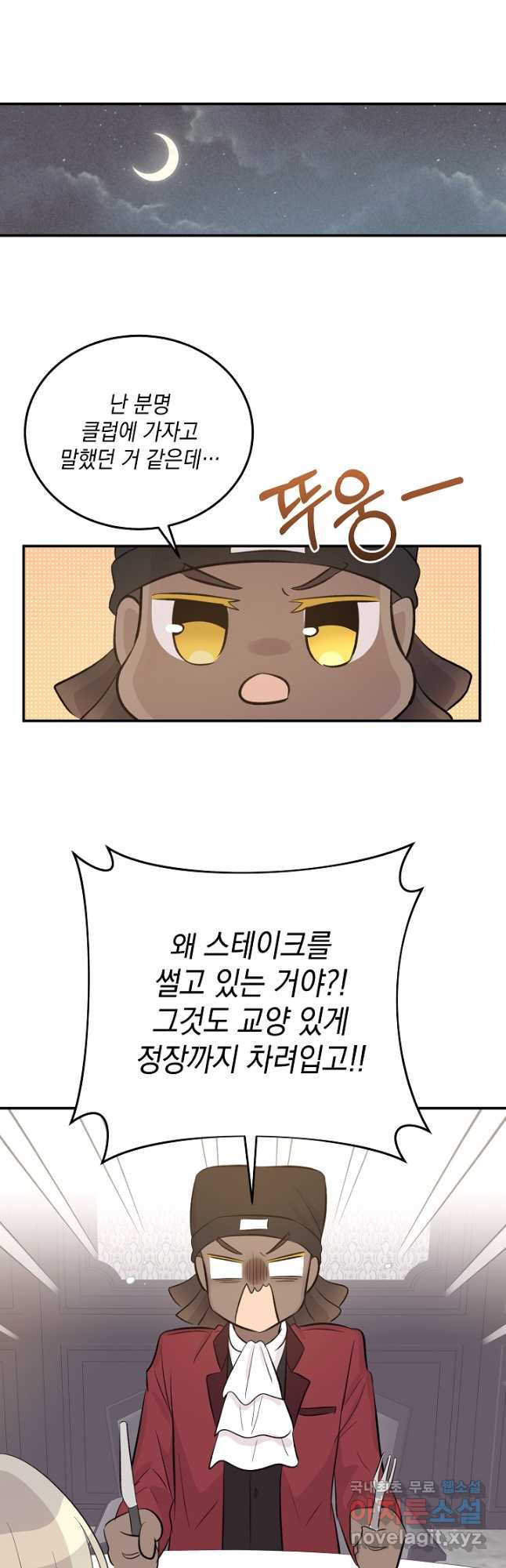 1668562866131cwocz5utixl.jpeg