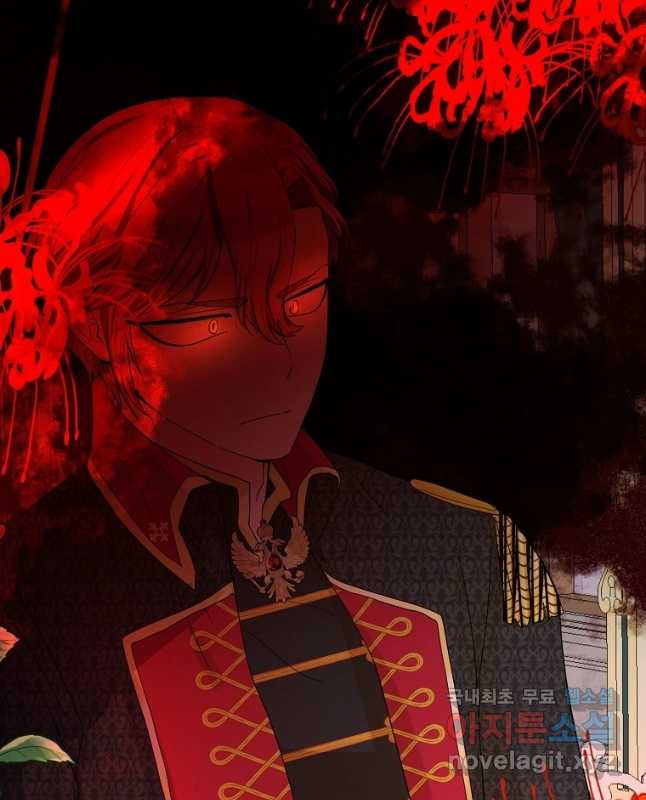 16674344977419em2o5procj.jpeg