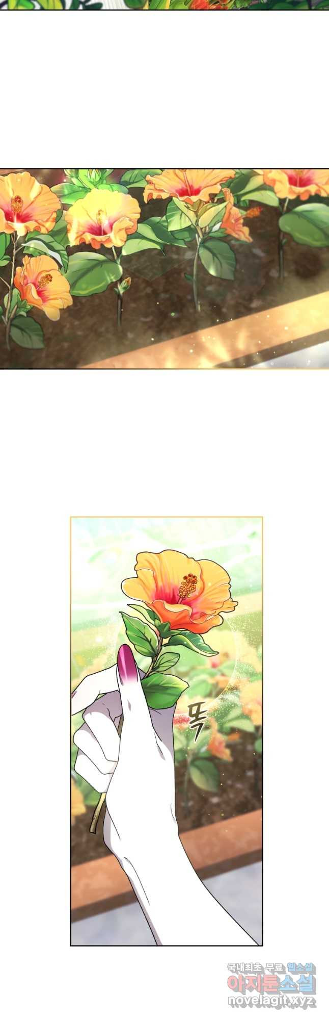 16707233809997py4ldl9mel.jpeg