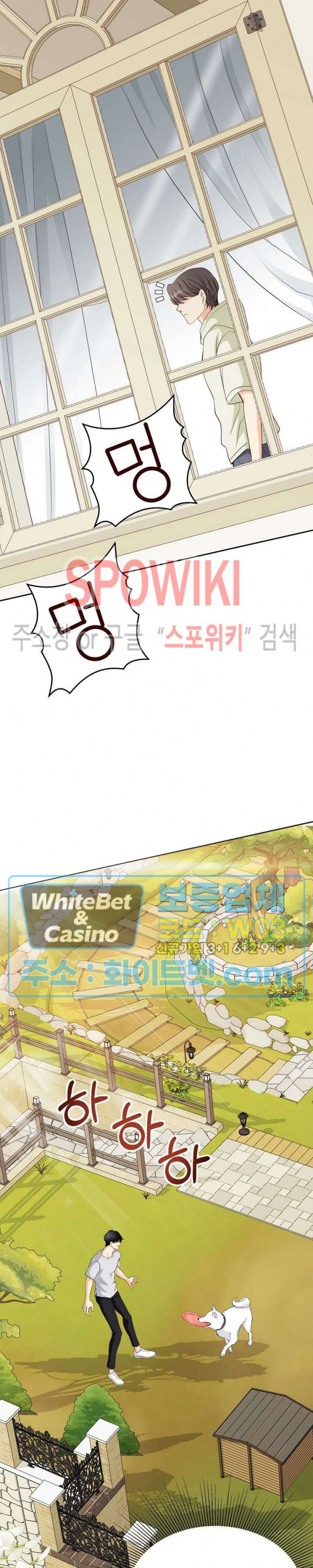 1671497357548tortv9w3fp.jpg