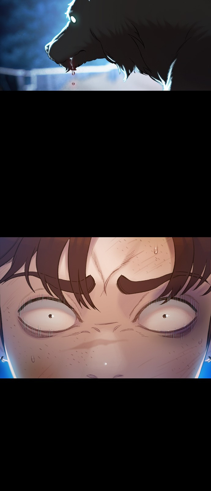 1670274720695j3erfli28d.jpeg