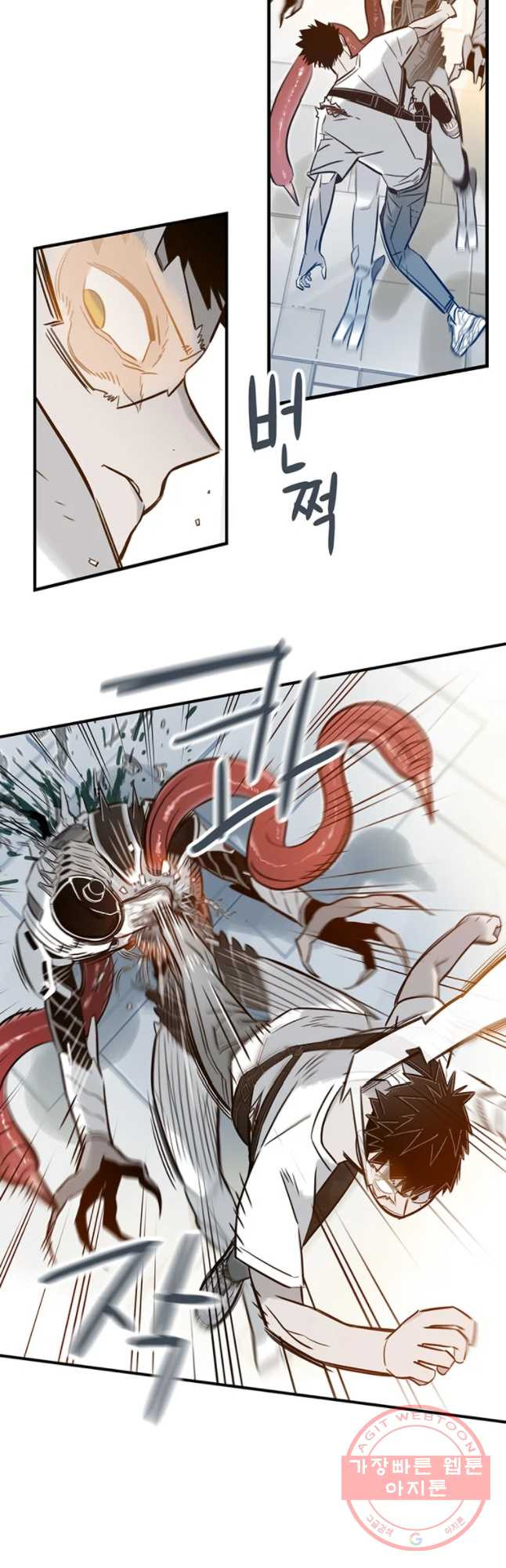 16451343862144fw9s4akica.jpeg