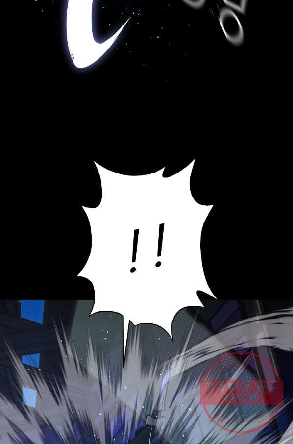 164426568208737jtii81ez3.jpeg