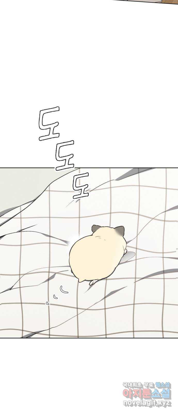 16525705321369ppmauuadcr.jpeg