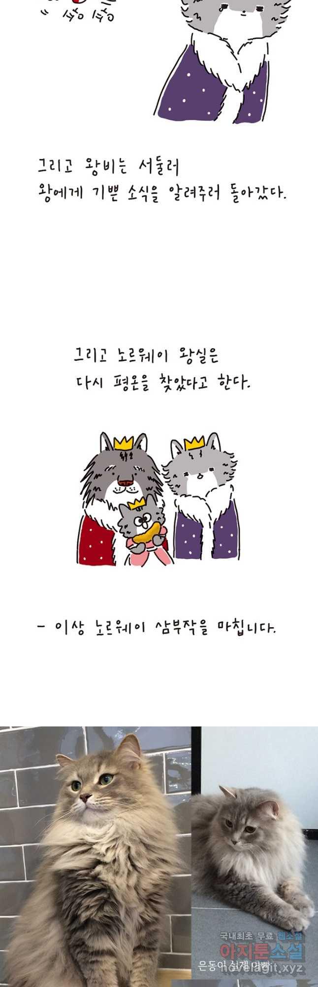 1699587194848q7344p1fx.jpg