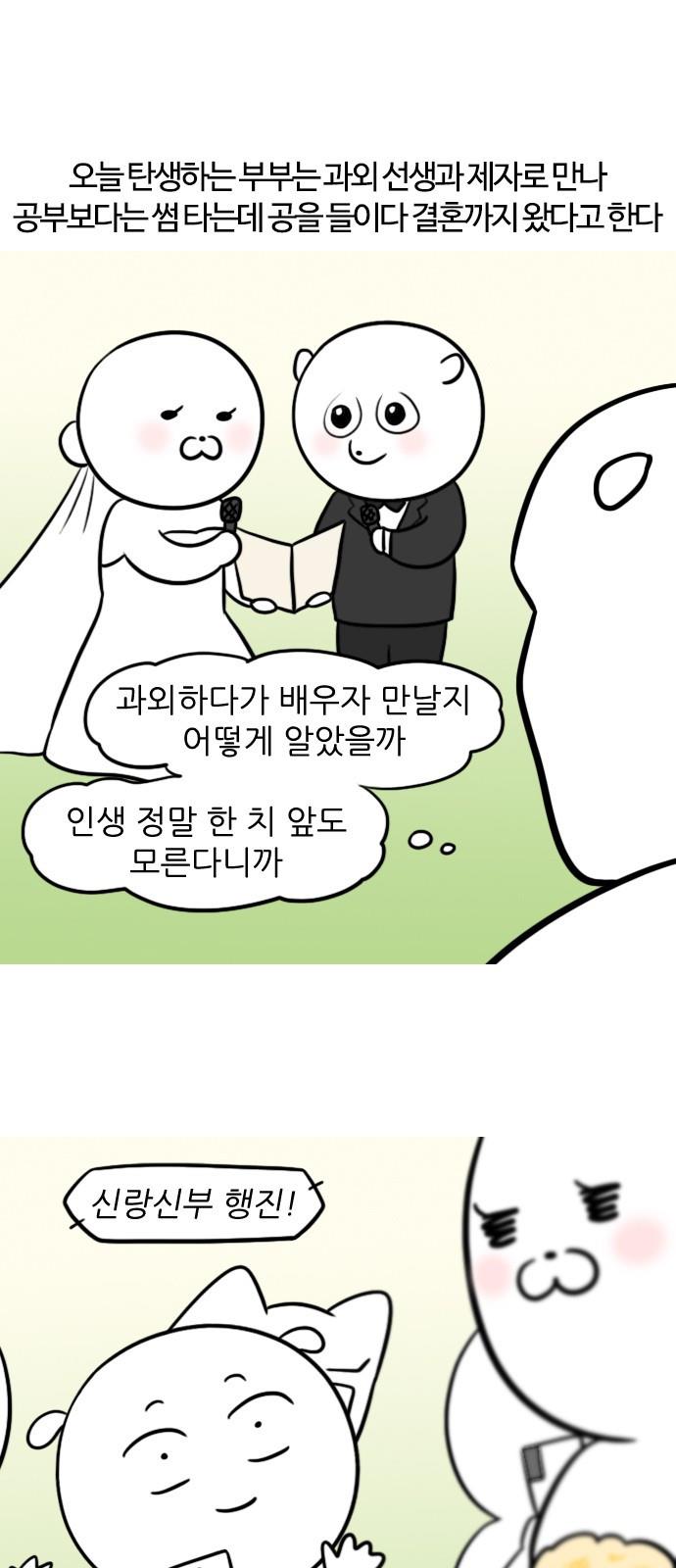 1700113051464cqpg805qlr7.jpg