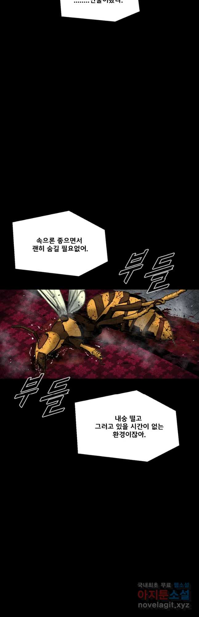 1702779138593tmrcfwhameq.jpg
