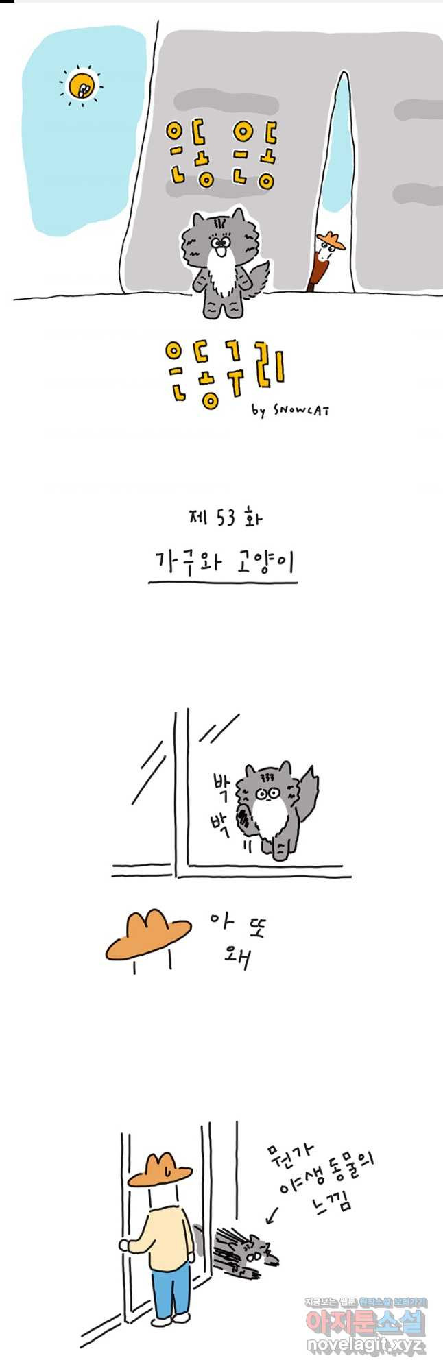 16796048125162rde7x0491t.jpeg