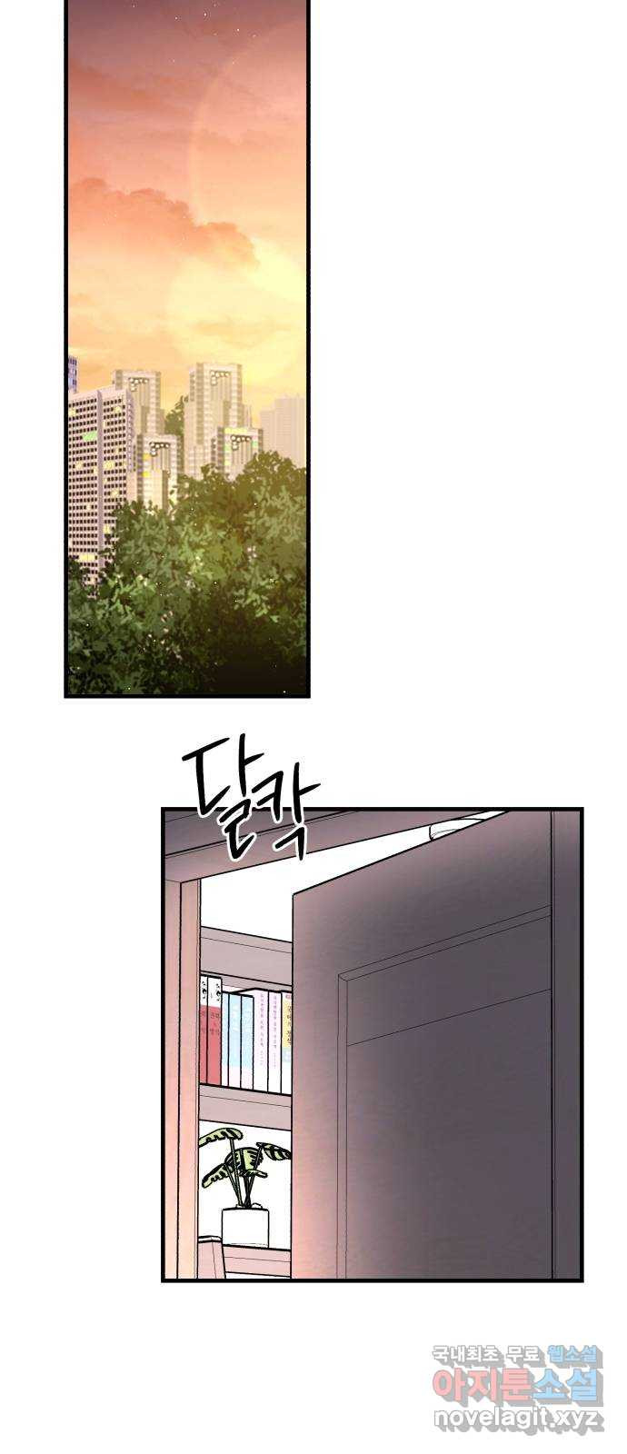 16811791243177429dysy6ji.jpeg