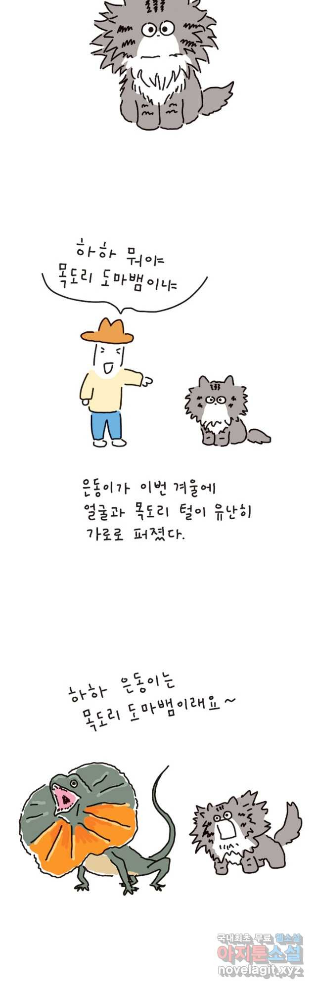1682043580639txoawybcvoq.jpeg