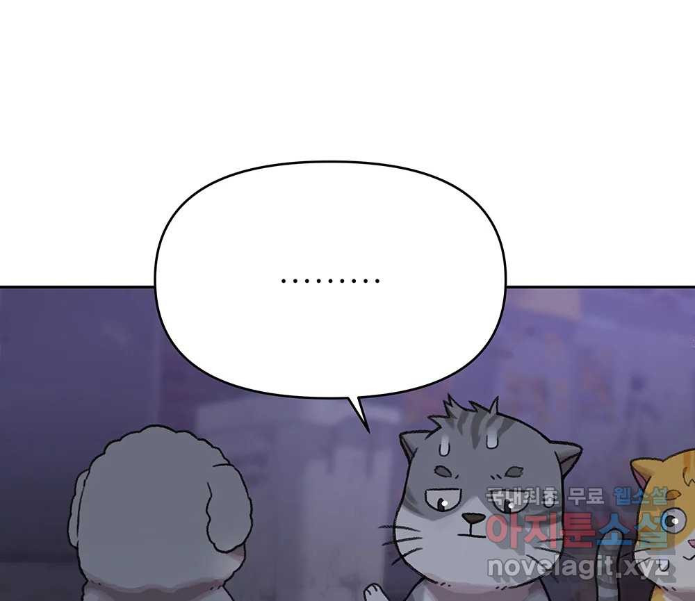 1682300668031tv2st9bq7qn.jpeg
