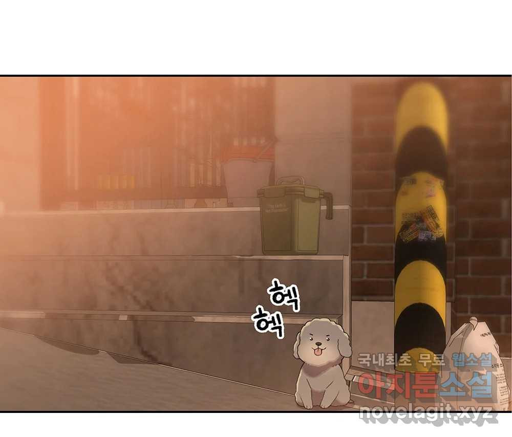 1682300684958c9qwn4qtcel.jpeg