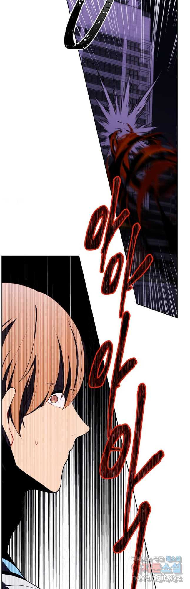 1683955292455shl3txqp86.jpeg