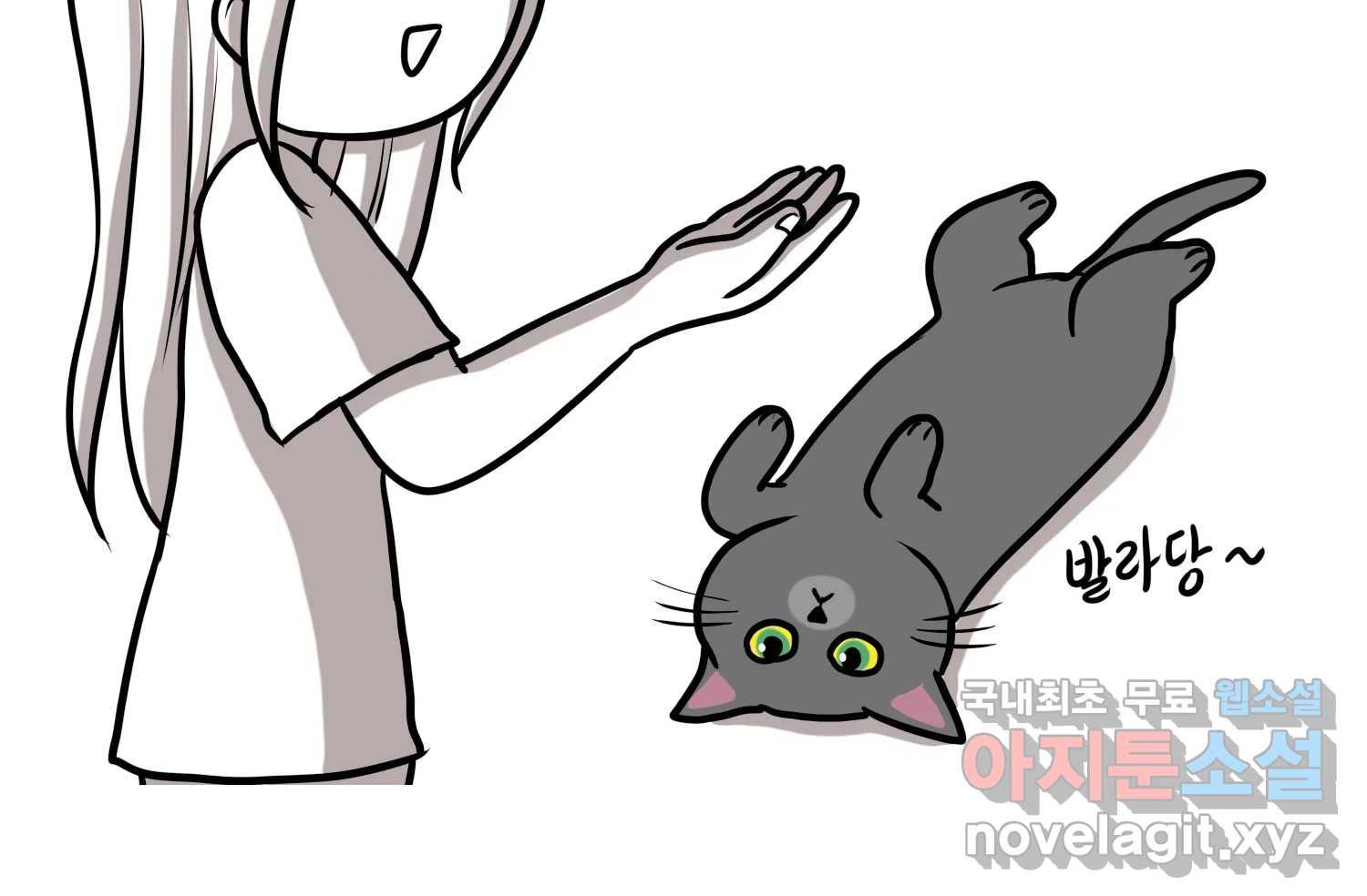 1693790420085dffytkylcaw.jpg