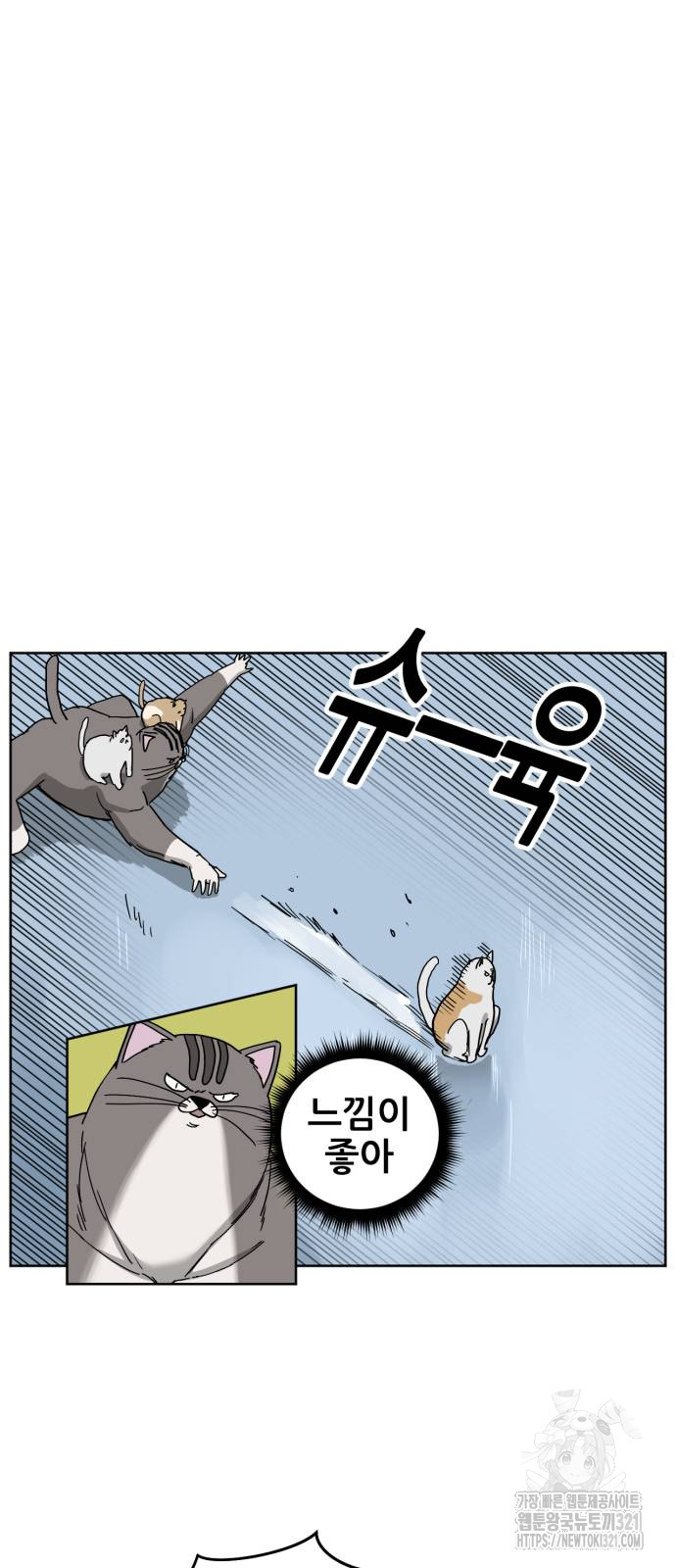 1705718674565gochui3389v.jpg