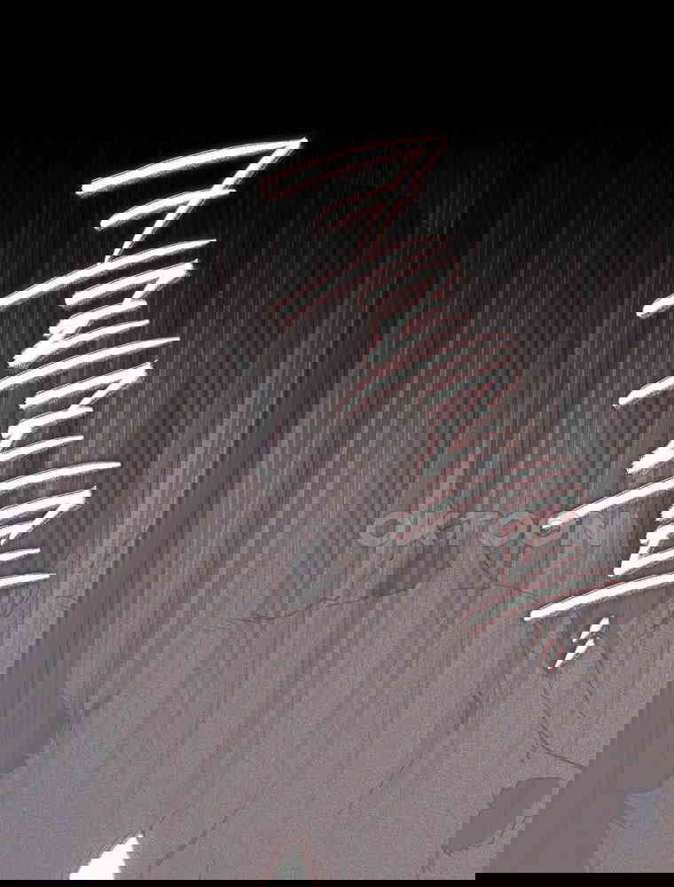 1729908450931phldwb04ge.jpg