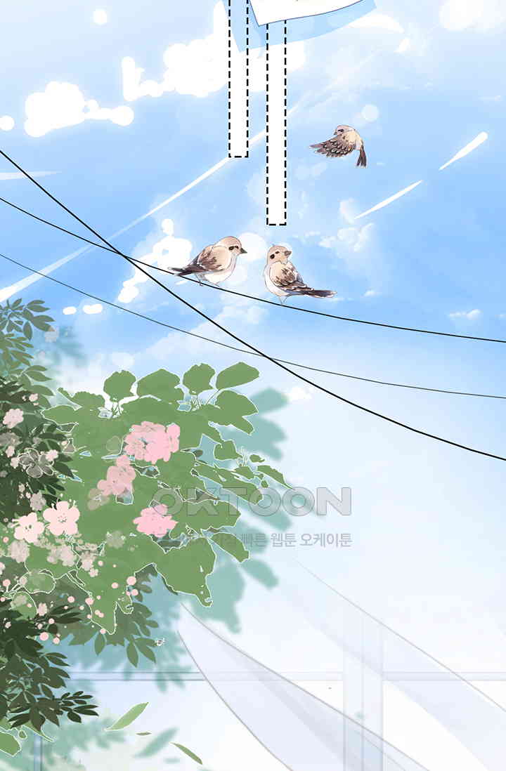 17301264476004xn9rphqjfj.jpg
