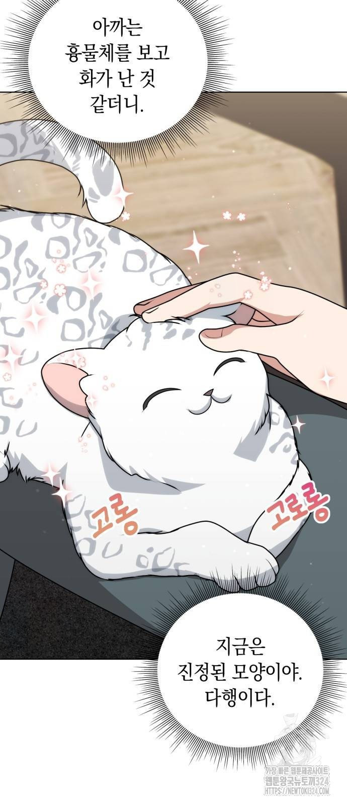 17086541746903ozz3u9jpwr.jpeg
