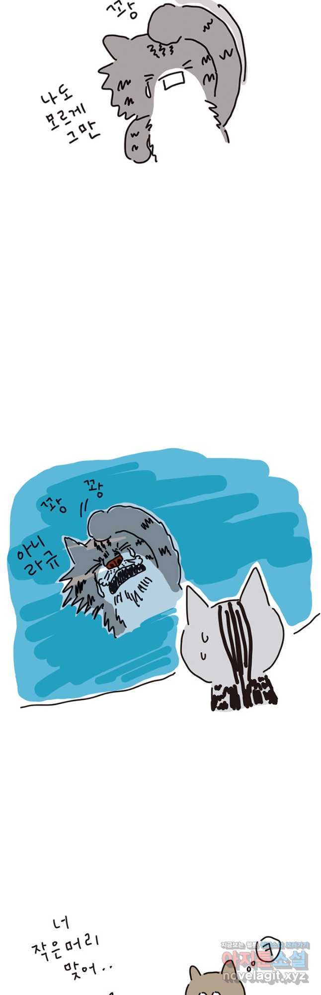 17086490835840xjt6oprljh.jpeg