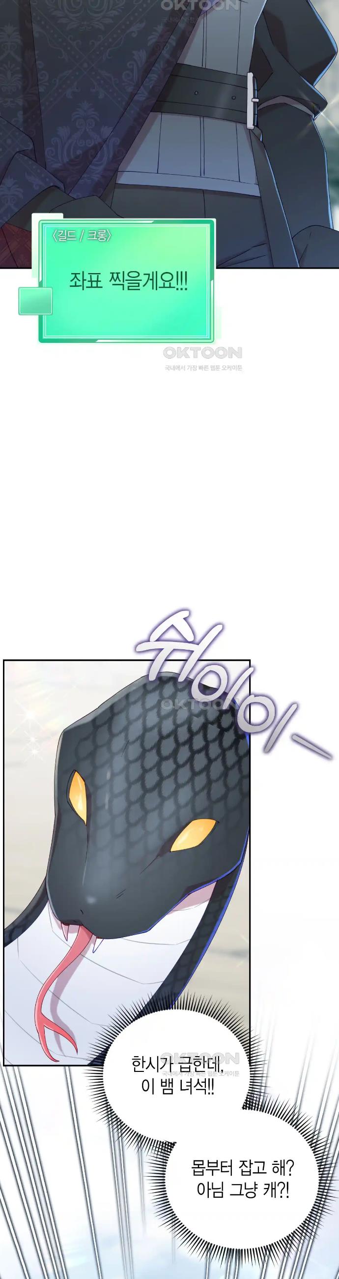 17183146863071savgioft4v.jpg