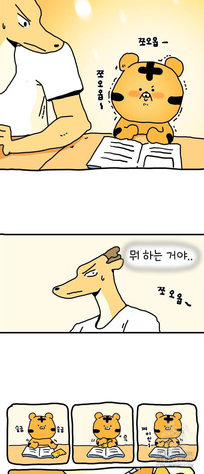 17200236308401lsniv85xfb.jpg