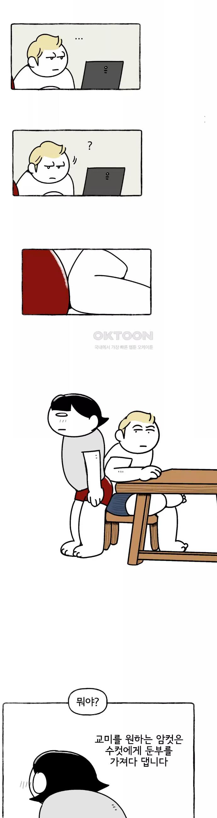 1723347647248c2q9f78ndj.jpg