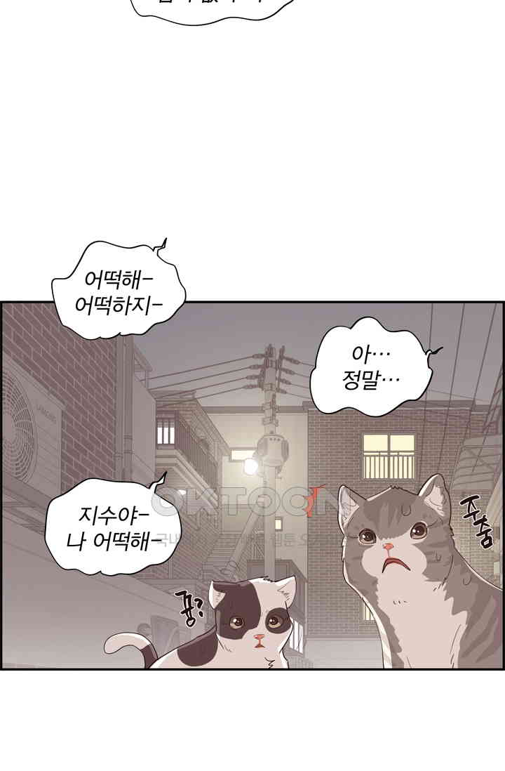 1725847176724wgm4cph8x2.jpg