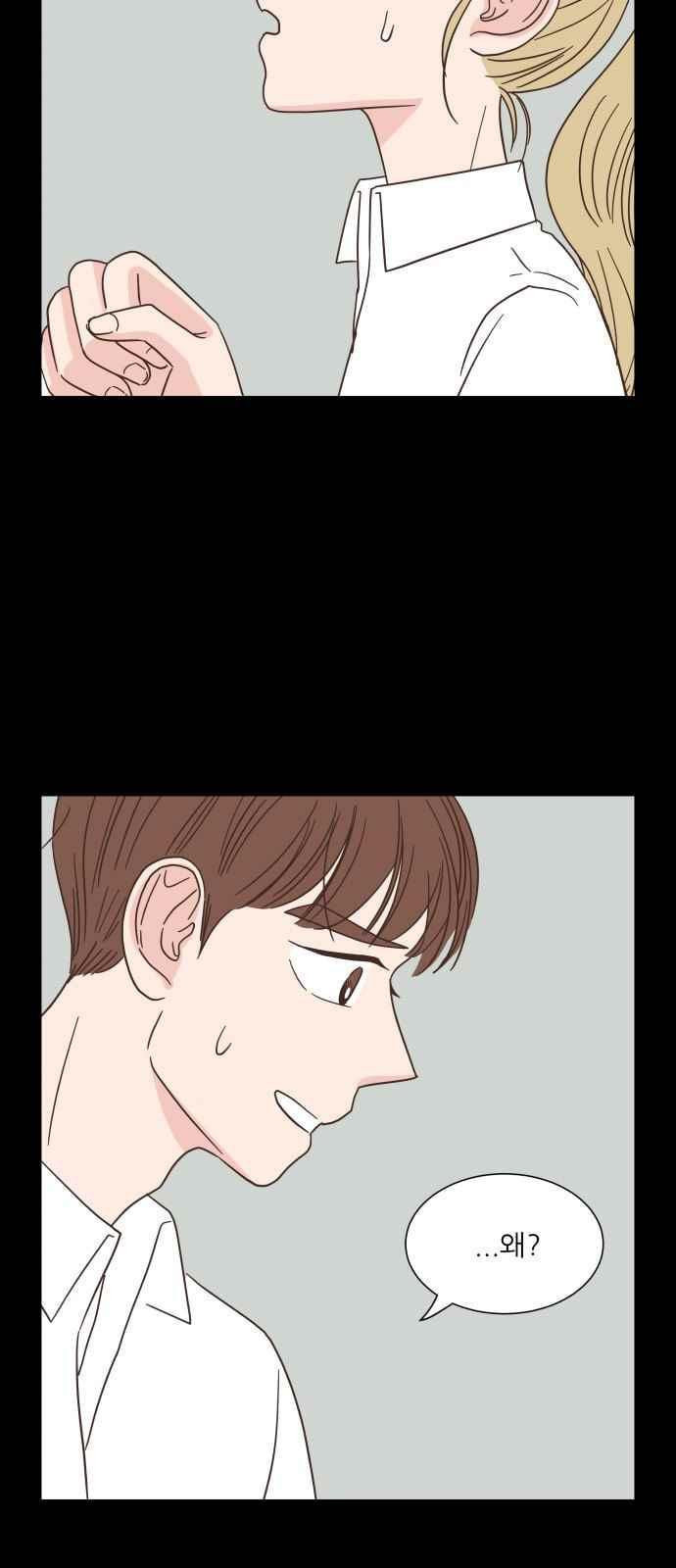15654231231614.jpeg