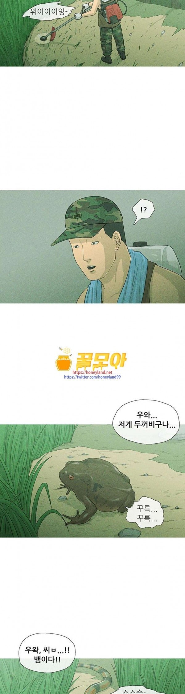 15798003714353.jpeg