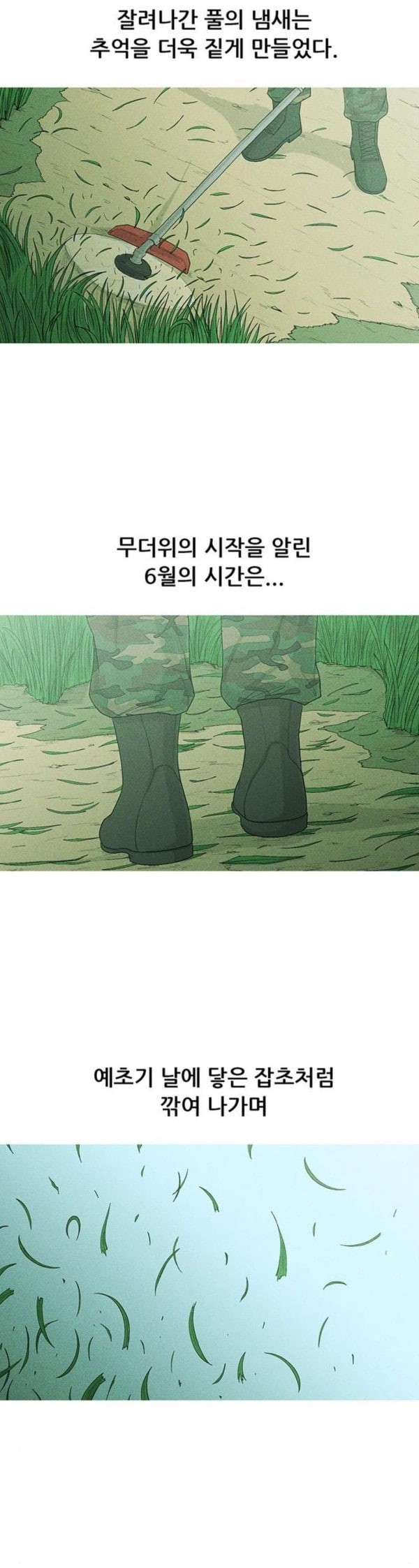 15798003733892.jpeg