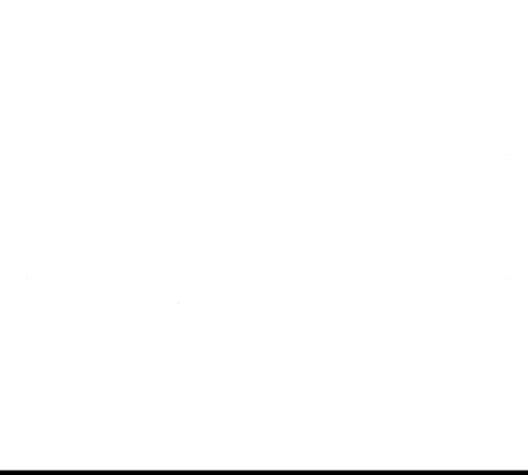 16007991353972.jpg